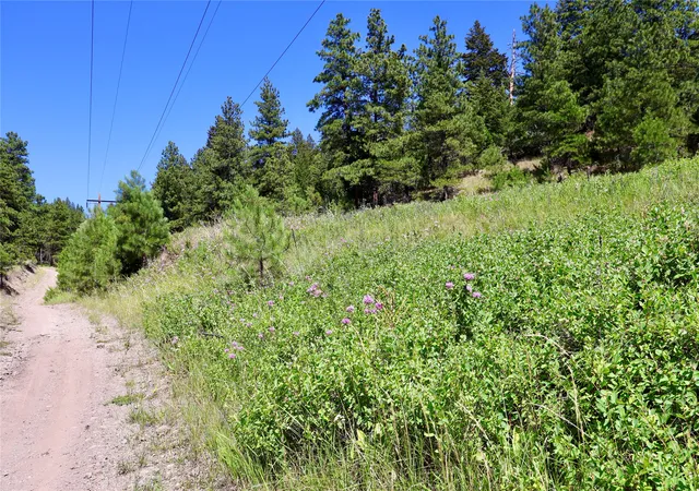 Homes for sale in Cascade, MT | Lot Cooper Valley Estates, Cascade, MT 59421 | MLS# 30054681