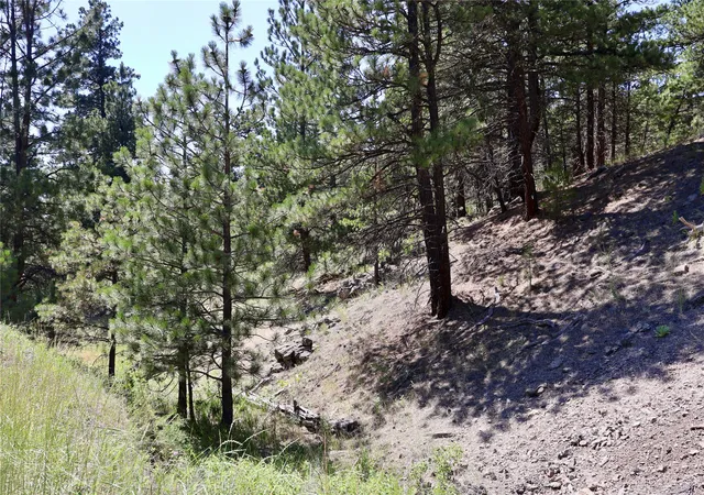 Homes for sale in Cascade, MT | Lot Cooper Valley Estates, Cascade, MT 59421 | MLS# 30054681