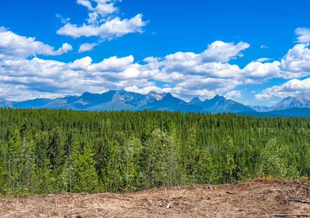 1st image of 11680 North Fork Rd, Polebridge, MT 59928 | MLS# 30054604