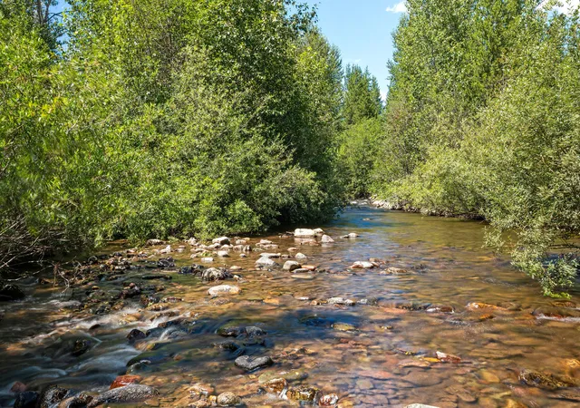 5th image of 11680 North Fork Rd, Polebridge, MT 59928 | MLS# 30054604