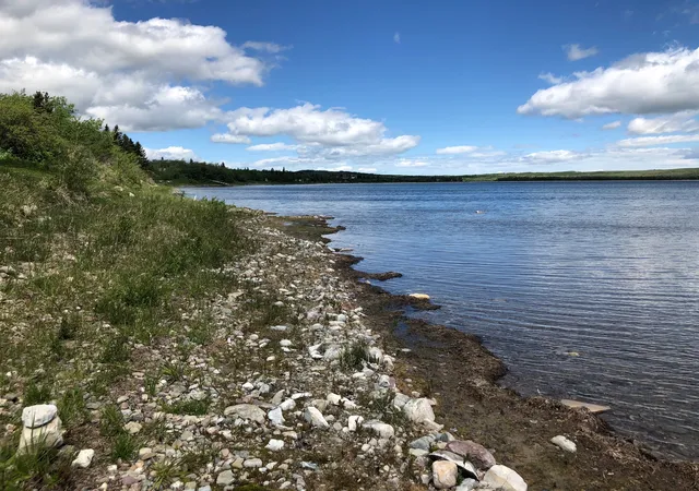 Photo 3 of Land for sale at Lot 32 West Shore Duck Lake Rd, Babb, MT 59411 | MLS# 30055198 | Listing updated on 2026-07-01