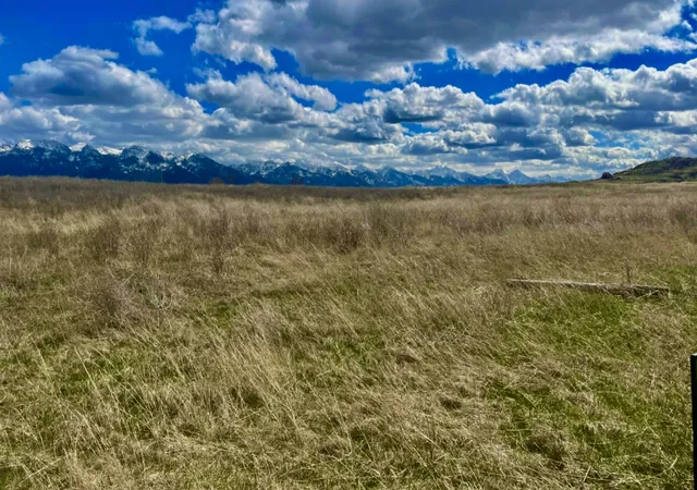 Homes for sale in Polson, MT | 38396 Broken Wheel Rd, Polson, MT 59860 | MLS# 30055167
