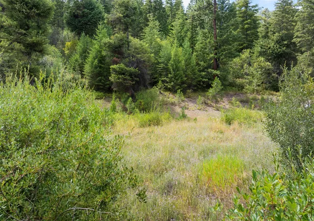 2nd image of 1925 Castle View Dr, Victor, MT 59875 | MLS# 30055184