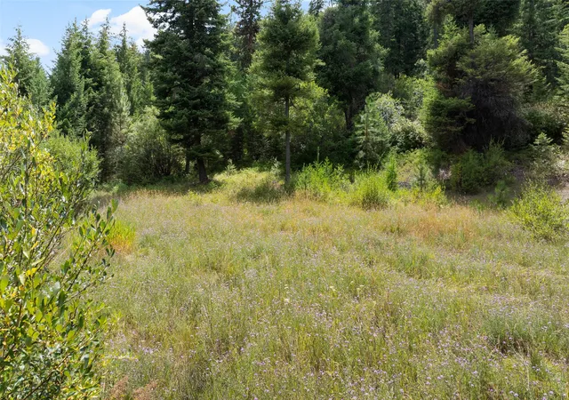 3rd image of 1925 Castle View Dr, Victor, MT 59875 | MLS# 30055184