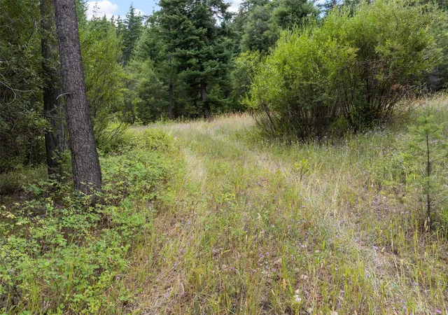 5th image of 1925 Castle View Dr, Victor, MT 59875 | MLS# 30055184