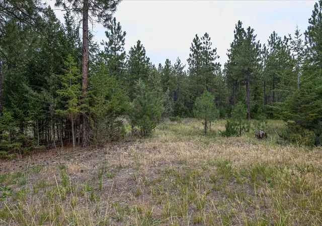 51st image of 53 Mccracken Trl, Eureka, MT 59917 | MLS# 30055437