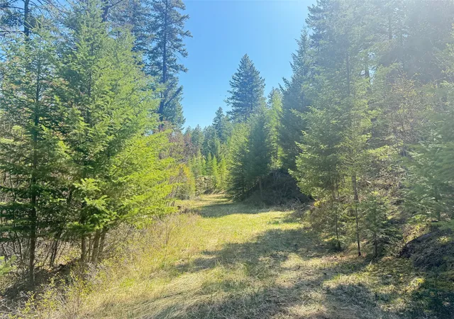 Homes for sale in Kila, MT | Nhn Whitetail Ridge Rd, Kila, MT 59920 | MLS# 30055336