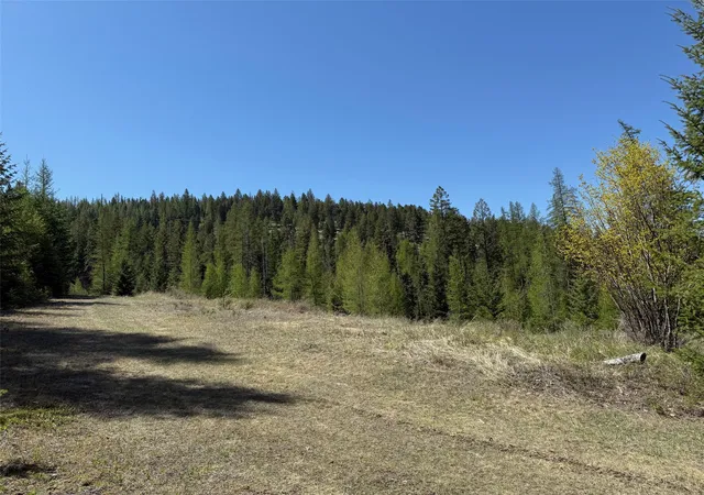 Homes for sale in Kila, MT | Nhn Whitetail Ridge Rd, Kila, MT 59920 | MLS# 30055336