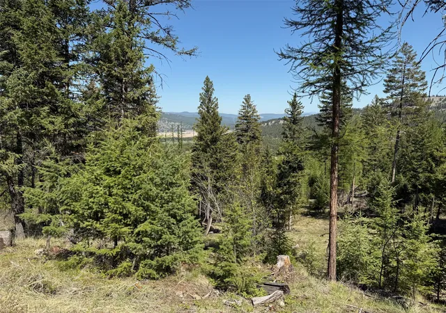 Homes for sale in Kila, MT | Nhn Whitetail Ridge Rd, Kila, MT 59920 | MLS# 30055336