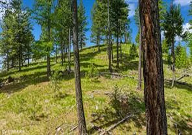 Homes for sale in Marion, MT | 321 Lobo Ln, Marion, MT 59925 | MLS# 30055519