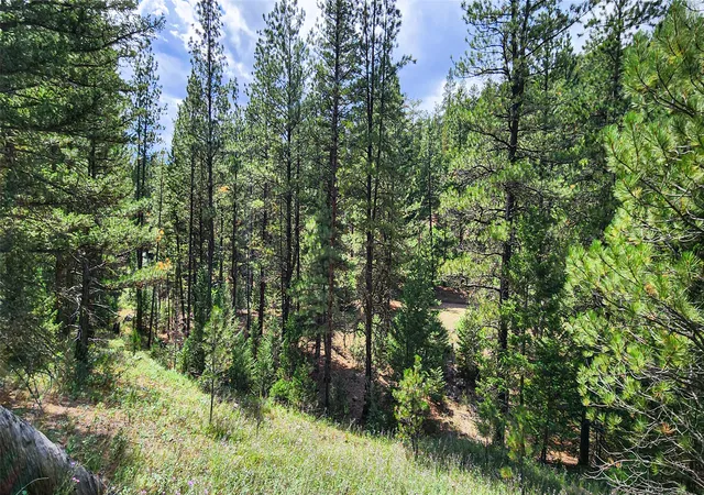5th image of Nhn Upper Sawmill Creek Lane, Cascade, MT 59421 | MLS# 30054683