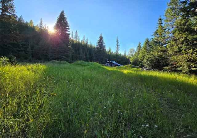 Homes for sale in Yaak, MT | 12941 Yaak River Rd, Yaak, MT 59935 | MLS# 30055727