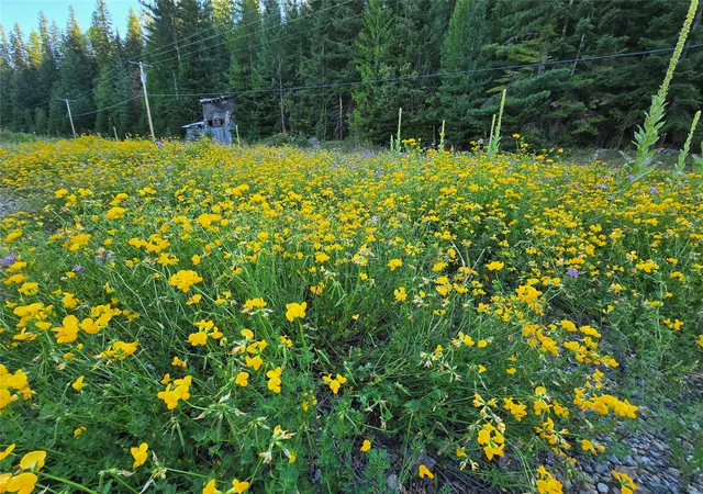 Homes for sale in Yaak, MT | 12941 Yaak River Rd, Yaak, MT 59935 | MLS# 30055727