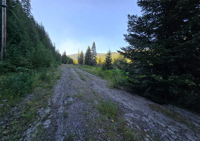 Homes for sale in Yaak, MT | 12941 Yaak River Rd, Yaak, MT 59935 | MLS# 30055727