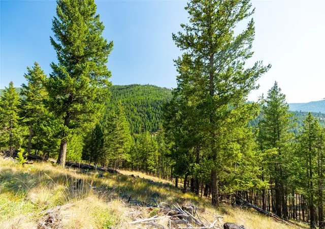 1st image of 123 Seeley Ln, Kila, MT 59920 | MLS# 30055761