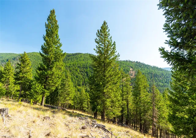2nd image of 123 Seeley Ln, Kila, MT 59920 | MLS# 30055761