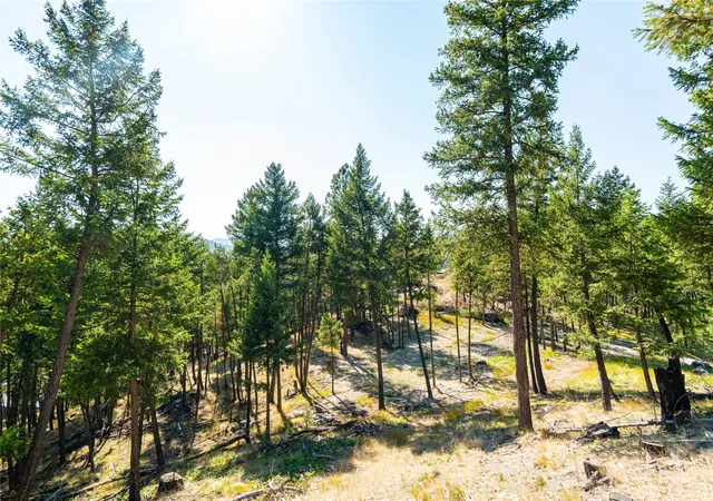 Photo 3 of Land for sale at 123 Seeley Ln, Kila, MT 59920 | MLS# 30055761 | Listing updated on 2026-07-25