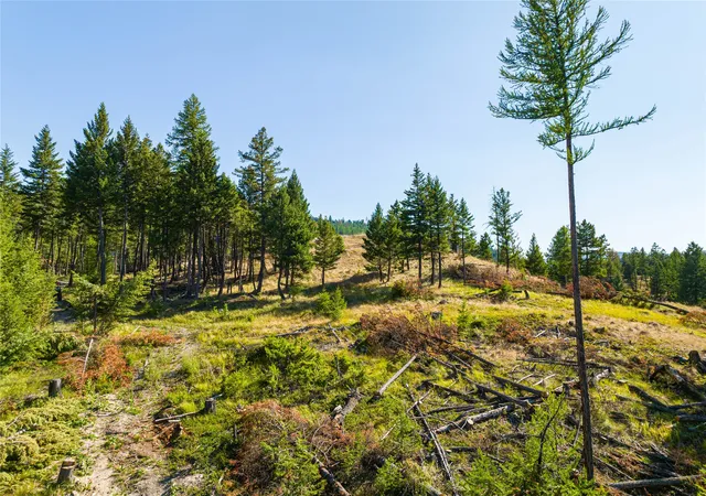 Photo 4 of Land for sale at 123 Seeley Ln, Kila, MT 59920 | MLS# 30055761 | Listing updated on 2026-07-25