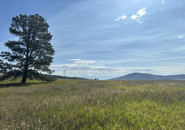 1st image of 711 Morning View Dr, Kalispell, MT 59901 | MLS# 30055785