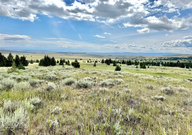 4th image of 118 Panorama Dr, White Sulphur Springs, MT 59645 | MLS# 30055388