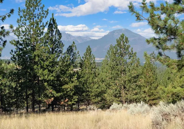 3rd image of Nhn Stans Way, Stevensville, MT 59870 | MLS# 30055868