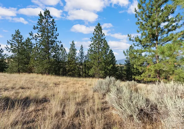 5th image of Nhn Stans Way, Stevensville, MT 59870 | MLS# 30055868