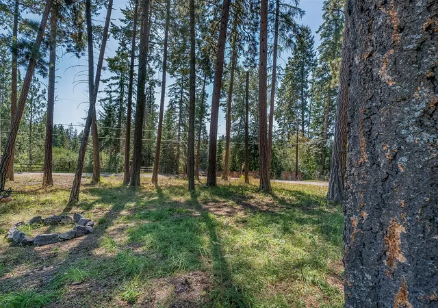 1st image of Nhn Yenne Point Rd, Bigfork, MT 59911 | MLS# 30056003