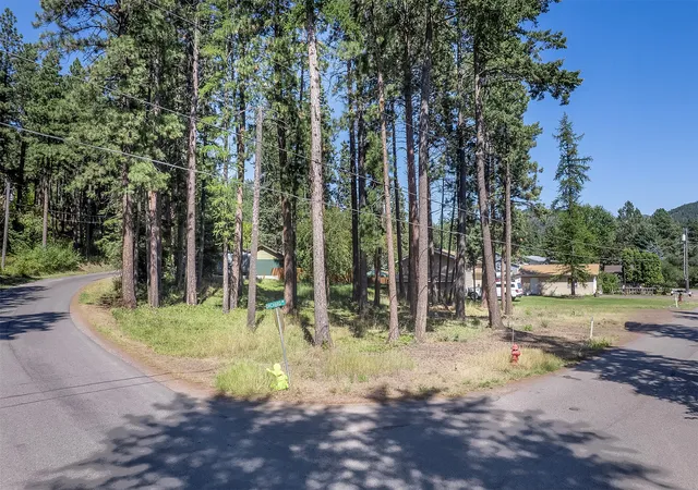 Homes for sale in Bigfork, MT | Nhn Yenne Point Rd, Bigfork, MT 59911 | MLS# 30056003