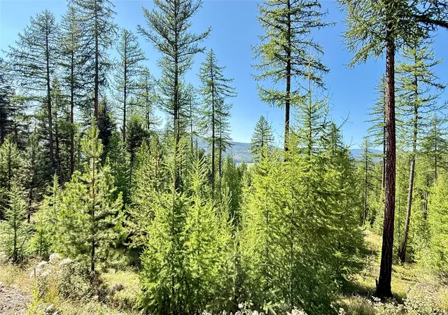 69th image of 240 Hodge Creek Dr, Kila, MT 59920 | MLS# 30056427