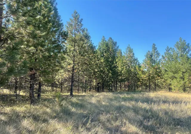 Homes for sale in Polson, MT | Lot 55 Jette Meadow Rd, Polson, MT 59860 | MLS# 30056447