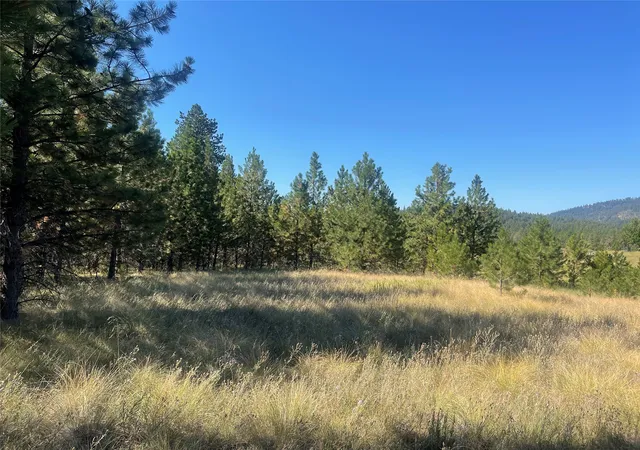 Homes for sale in Polson, MT | Lot 55 Jette Meadow Rd, Polson, MT 59860 | MLS# 30056447
