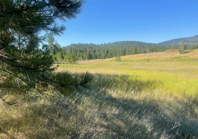 Homes for sale in Polson, MT | Lot 55 Jette Meadow Rd, Polson, MT 59860 | MLS# 30056447