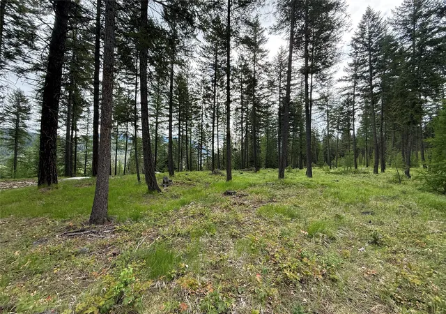 4th image of Parcel A Kootenai Dr, Troy, MT 59935 | MLS# 30056611