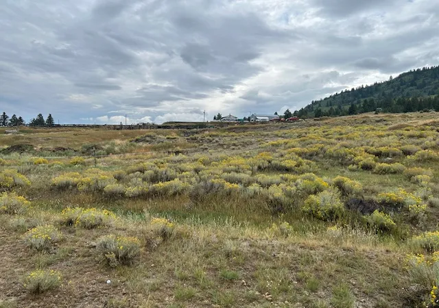 Homes for sale in Butte, MT | Lot 5 Echo Industrial Park, Butte, MT 59701 | MLS# 30056634