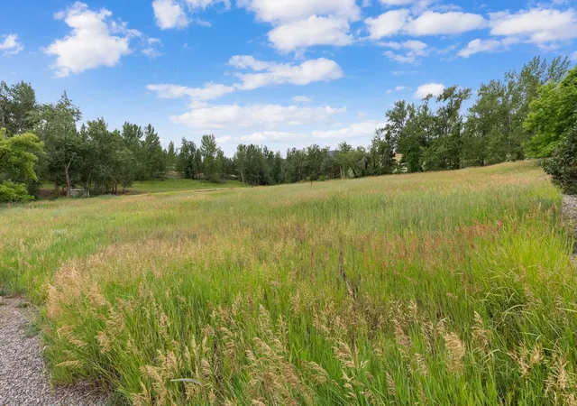 Photo 3 of Land for sale at 12458 Nature Ct, Lolo, MT 59847 | MLS# 30056341 | Listing updated on 2026-08-26