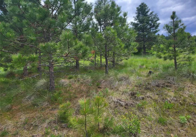 Homes for sale in Plains, MT | Lot 5 Yosyrian Ln, Plains, MT 59859 | MLS# 30056679