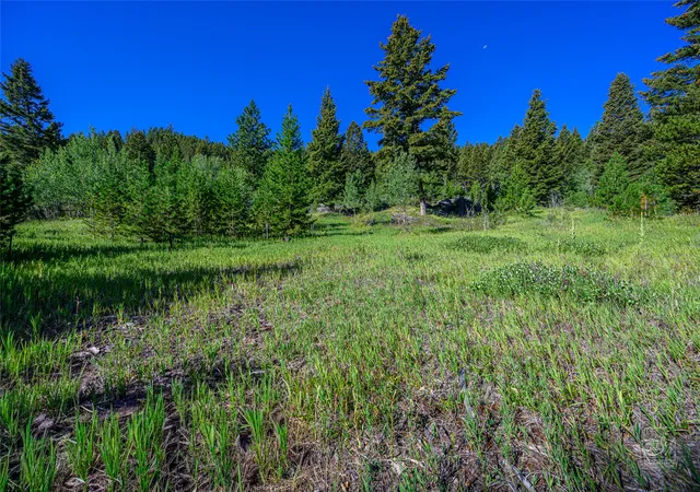 Homes for sale in Clancy, MT | Tract A1 Hills Brothers Rd, Clancy, MT 59634 | MLS# 30056605