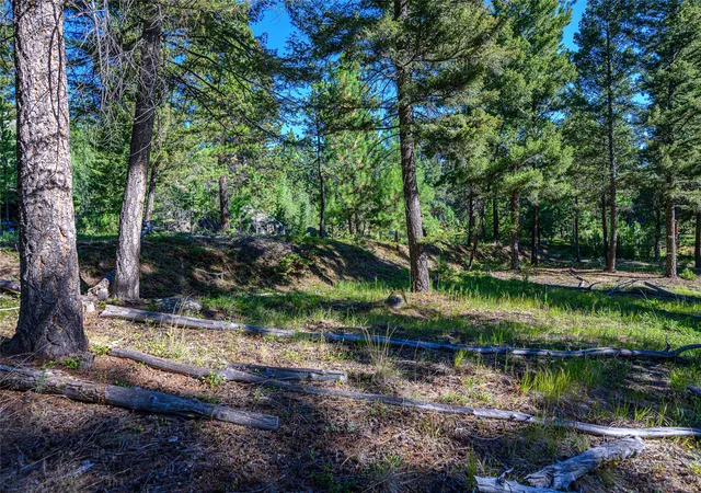 Homes for sale in Clancy, MT | Tract A1 Hills Brothers Rd, Clancy, MT 59634 | MLS# 30056605