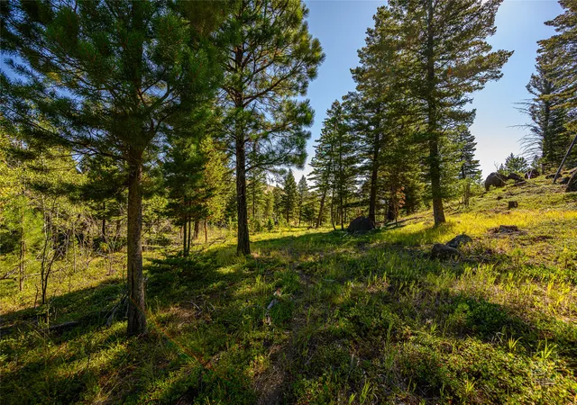 Homes for sale in Clancy, MT | Tract A1 Hills Brothers Rd, Clancy, MT 59634 | MLS# 30056605