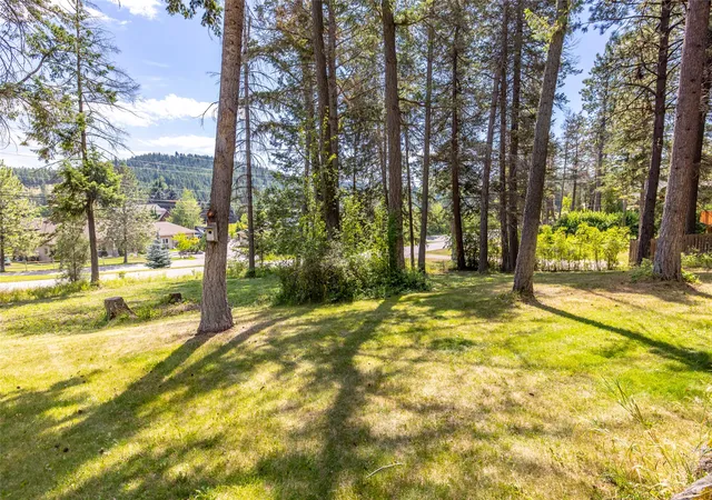 2nd image of 480 Political Hill Rd, Lakeside, MT 59922 | MLS# 30054473