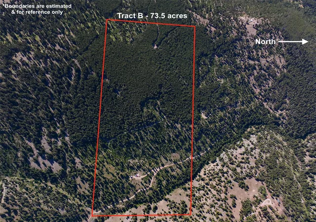 Homes for sale in Helmville, MT | Tbd B Chimney Lakes Rd, Helmville, MT 59843 | MLS# 30057018