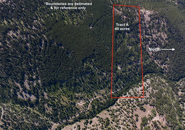 Homes for sale in Helmville, MT | Tbd A Chimney Lakes Rd, Helmville, MT 59843 | MLS# 30057012