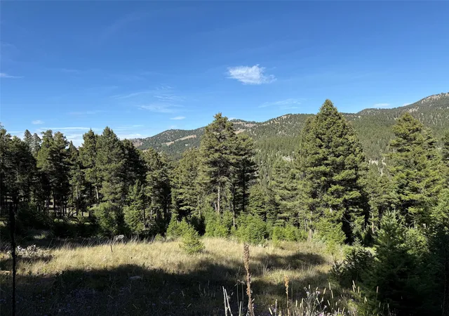 Homes for sale in Helmville, MT | Tbd A Chimney Lakes Rd, Helmville, MT 59843 | MLS# 30057012
