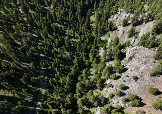 Homes for sale in Helmville, MT | Tbd A Chimney Lakes Rd, Helmville, MT 59843 | MLS# 30057012