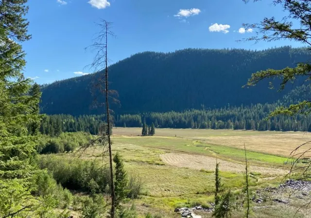 Photo 1 of Land for sale at 2398 Pine Creek Rd, Troy, MT 59935 | MLS# 30057257 | Listing updated on 2026-08-04
