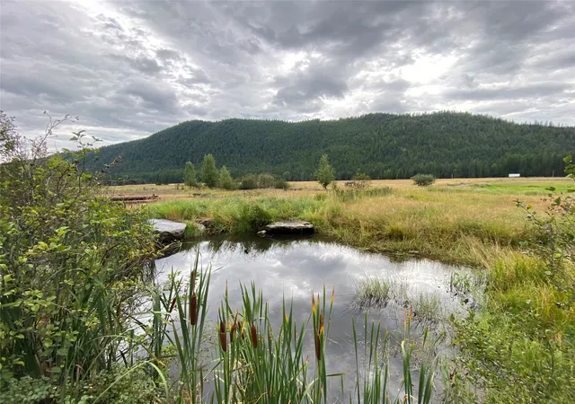 Photo 2 of Land for sale at 2398 Pine Creek Rd, Troy, MT 59935 | MLS# 30057257 | Listing updated on 2026-08-04