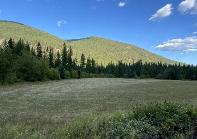 Photo 3 of Land for sale at 2398 Pine Creek Rd, Troy, MT 59935 | MLS# 30057257 | Listing updated on 2026-08-04