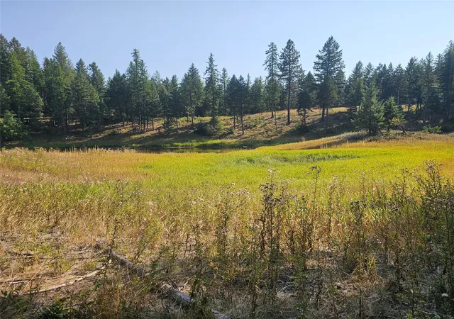 Homes for sale in Kalispell, MT | 324 Kathy Lake Ln, Kalispell, MT 59901 | MLS# 30057484