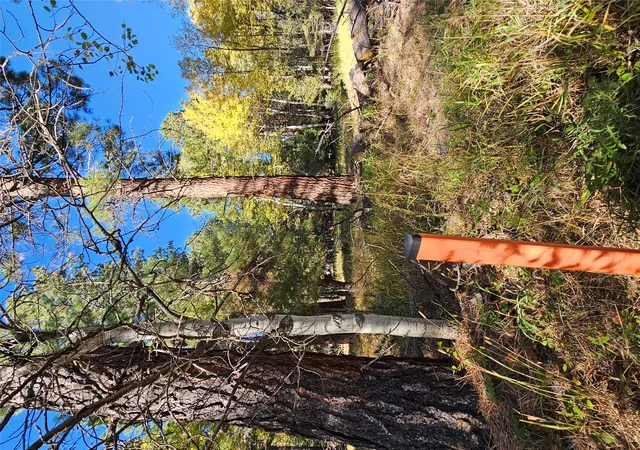 25th image of 4447 Snow Fleury Ln, Lincoln, MT 59639 | MLS# 30057589