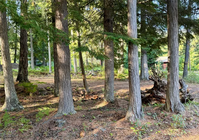 10th image of 749 Halo Dr #LOT 19, Troy, MT 59935 | MLS# 30057693